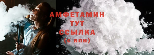 СК Дмитровск