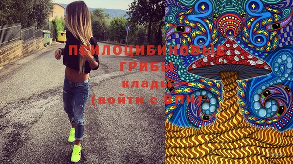 бутират Дмитров