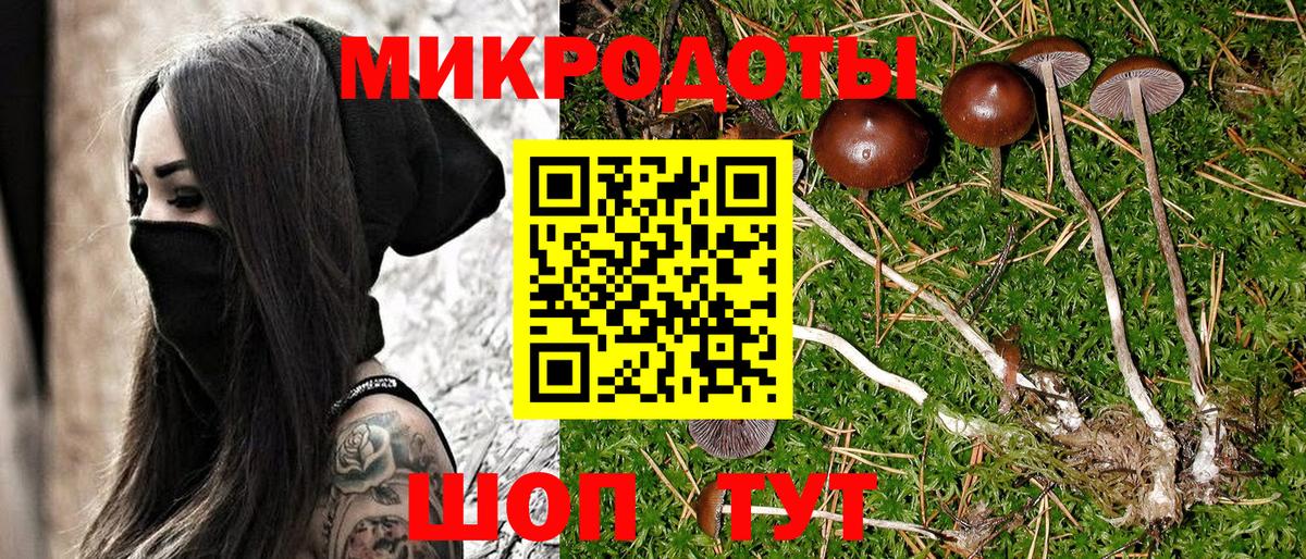 ГАШ Рубцовск